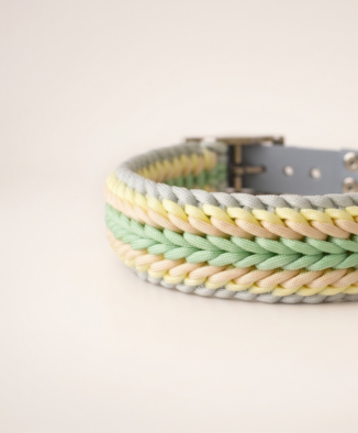 Paracord Halsband, Hundehalsband, Paws of Alice, Halsband individualisierbar, Paracord Halsband konfigurieren 02